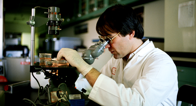 Biopsia e lëkurës për diagnozën e keratozës aktinike.